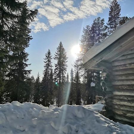 Mantytupa Lodge Syote Bagian luar foto
